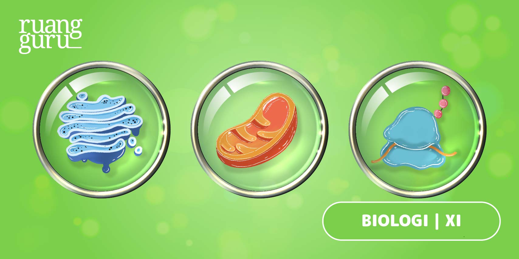 Biologi